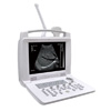 PL-3018I Digital Portable Ultrasound Diagnostic